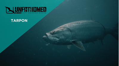 Unfathomed with Captain George Gozdz Episode 11 – Tarpon