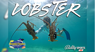 2023 Florida Insider Fishing Report Ep 17 - Lobster