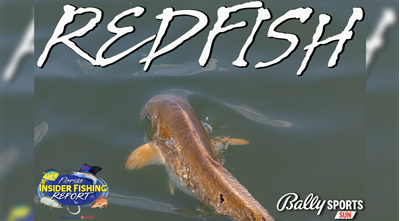 2023 Florida Insider Fishing Report Ep 19 - Redfish!